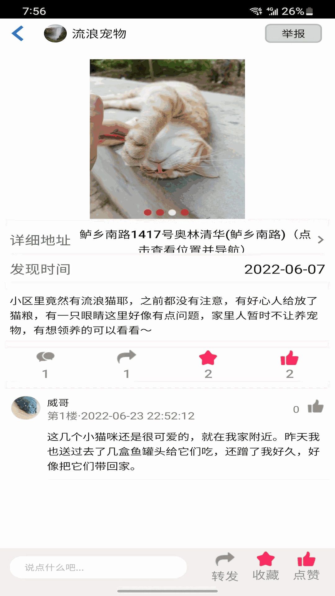 流浪宠物截图2